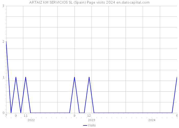 ARTAIZ KM SERVICIOS SL (Spain) Page visits 2024 