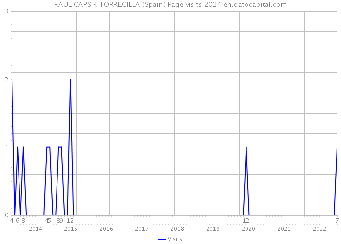 RAUL CAPSIR TORRECILLA (Spain) Page visits 2024 