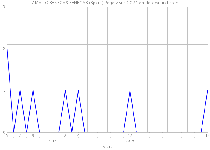 AMALIO BENEGAS BENEGAS (Spain) Page visits 2024 