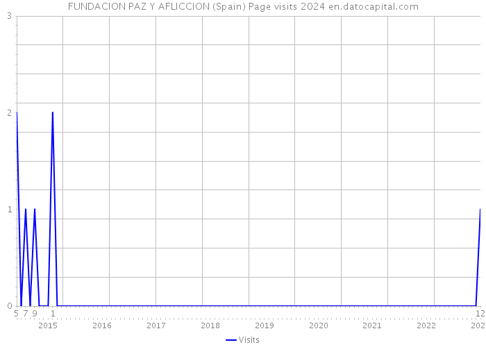 FUNDACION PAZ Y AFLICCION (Spain) Page visits 2024 