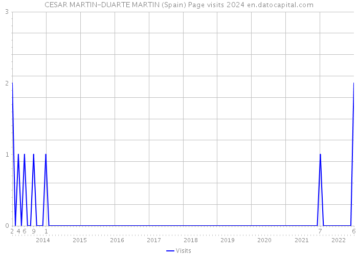 CESAR MARTIN-DUARTE MARTIN (Spain) Page visits 2024 