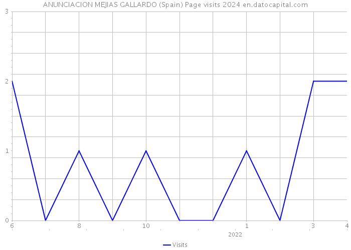 ANUNCIACION MEJIAS GALLARDO (Spain) Page visits 2024 