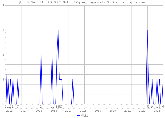 JOSE IGNACIO DELGADO MONTERO (Spain) Page visits 2024 