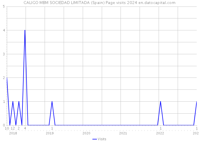 CALIGO MBM SOCIEDAD LIMITADA (Spain) Page visits 2024 