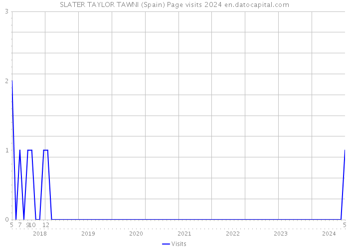 SLATER TAYLOR TAWNI (Spain) Page visits 2024 
