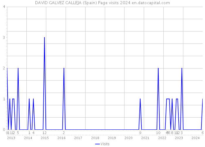 DAVID GALVEZ CALLEJA (Spain) Page visits 2024 