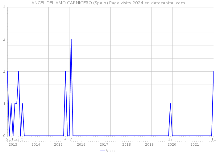 ANGEL DEL AMO CARNICERO (Spain) Page visits 2024 