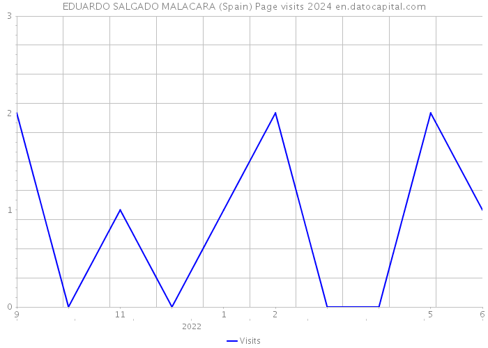 EDUARDO SALGADO MALACARA (Spain) Page visits 2024 