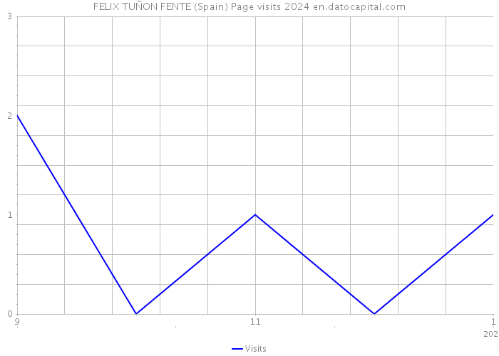 FELIX TUÑON FENTE (Spain) Page visits 2024 