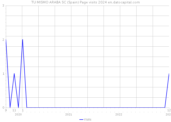 TU MISMO ARABA SC (Spain) Page visits 2024 