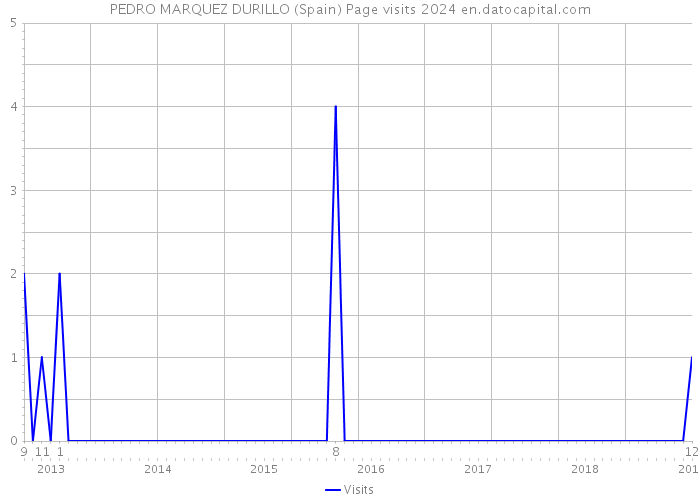 PEDRO MARQUEZ DURILLO (Spain) Page visits 2024 