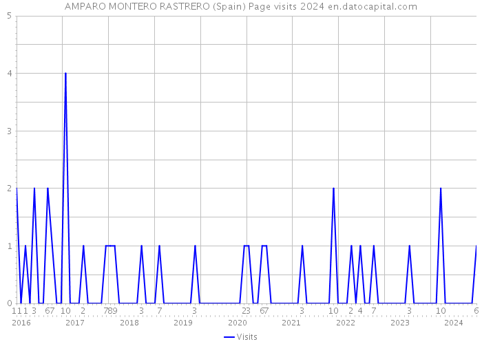 AMPARO MONTERO RASTRERO (Spain) Page visits 2024 