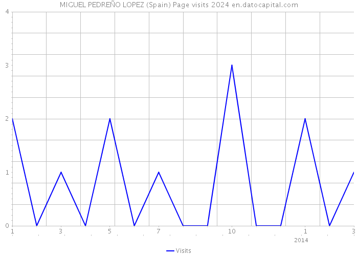 MIGUEL PEDREÑO LOPEZ (Spain) Page visits 2024 