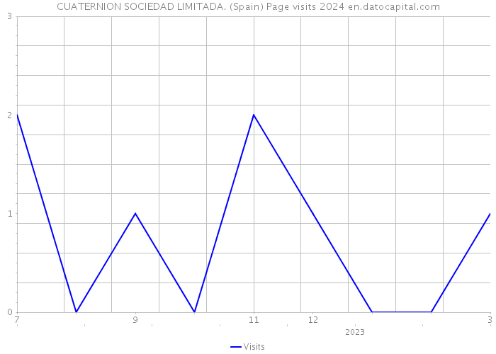 CUATERNION SOCIEDAD LIMITADA. (Spain) Page visits 2024 