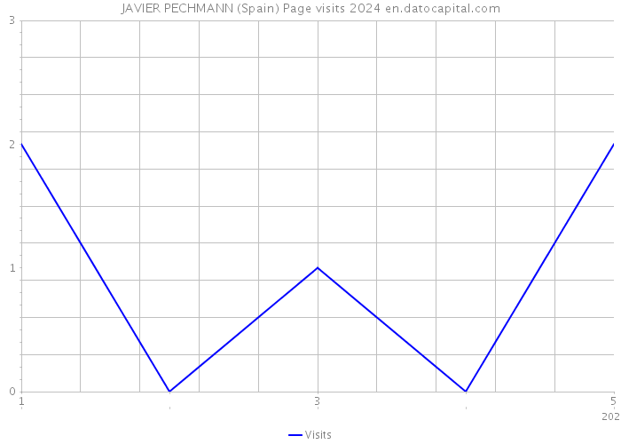 JAVIER PECHMANN (Spain) Page visits 2024 