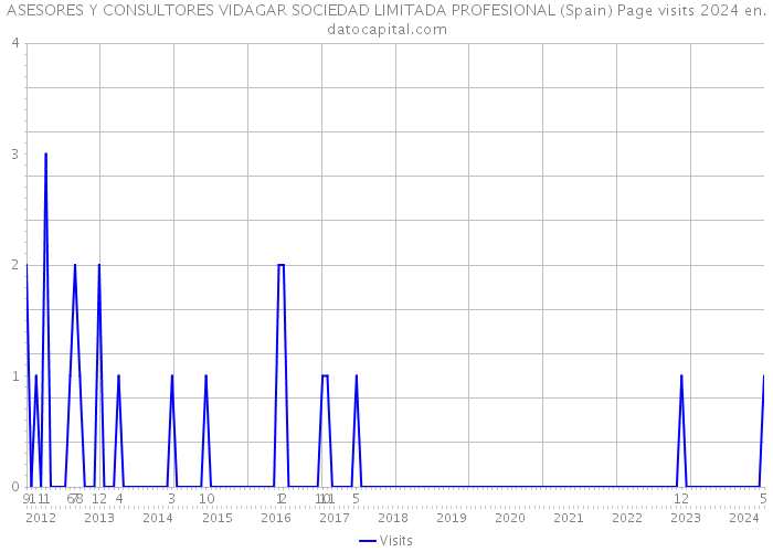 ASESORES Y CONSULTORES VIDAGAR SOCIEDAD LIMITADA PROFESIONAL (Spain) Page visits 2024 