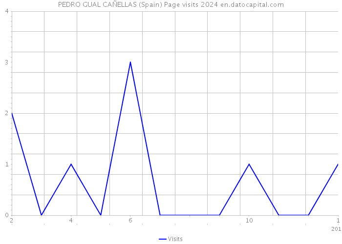 PEDRO GUAL CAÑELLAS (Spain) Page visits 2024 
