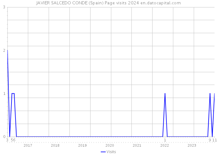 JAVIER SALCEDO CONDE (Spain) Page visits 2024 