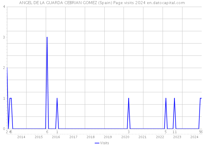 ANGEL DE LA GUARDA CEBRIAN GOMEZ (Spain) Page visits 2024 