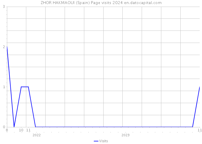 ZHOR HAKMAOUI (Spain) Page visits 2024 