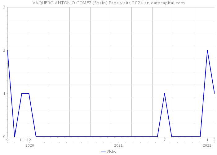 VAQUERO ANTONIO GOMEZ (Spain) Page visits 2024 