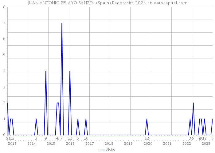 JUAN ANTONIO PELAYO SANZOL (Spain) Page visits 2024 