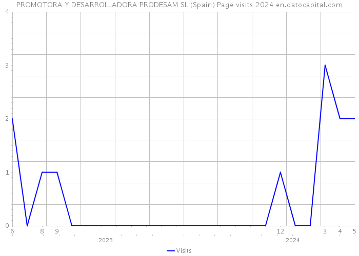 PROMOTORA Y DESARROLLADORA PRODESAM SL (Spain) Page visits 2024 