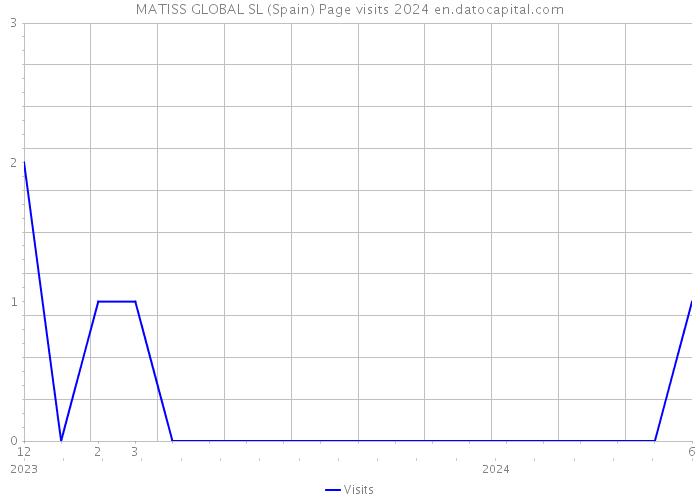 MATISS GLOBAL SL (Spain) Page visits 2024 