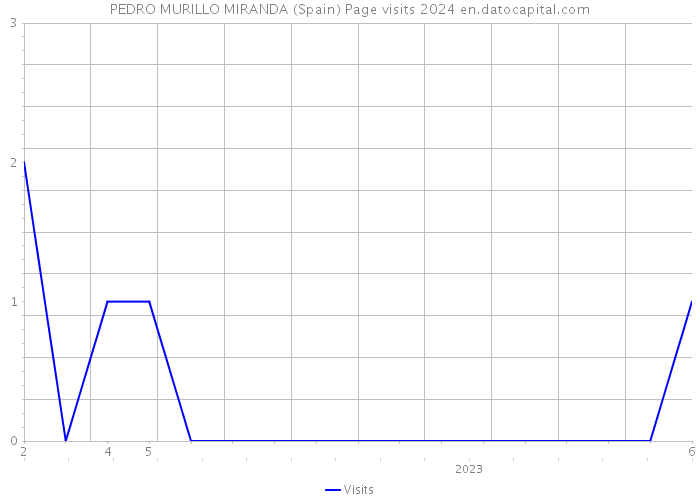 PEDRO MURILLO MIRANDA (Spain) Page visits 2024 
