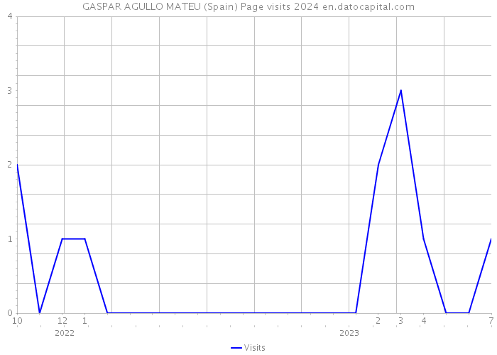 GASPAR AGULLO MATEU (Spain) Page visits 2024 