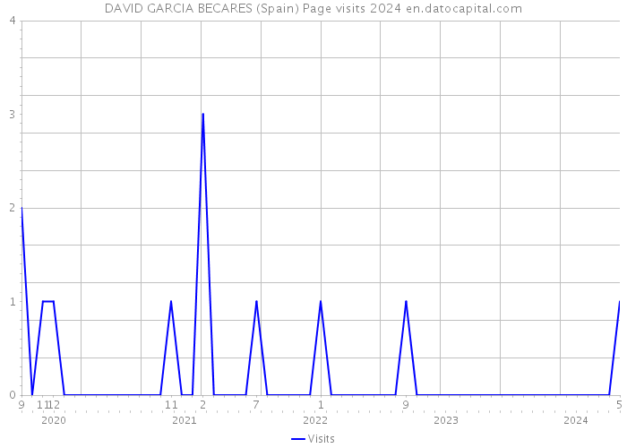 DAVID GARCIA BECARES (Spain) Page visits 2024 