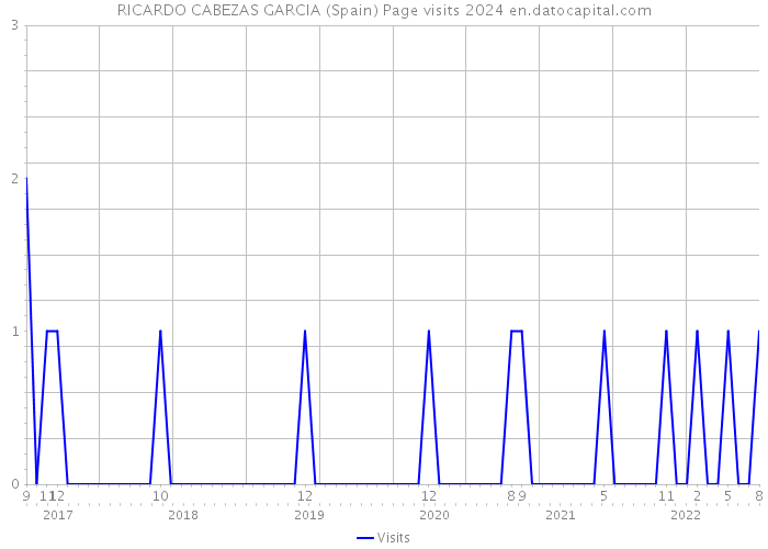 RICARDO CABEZAS GARCIA (Spain) Page visits 2024 