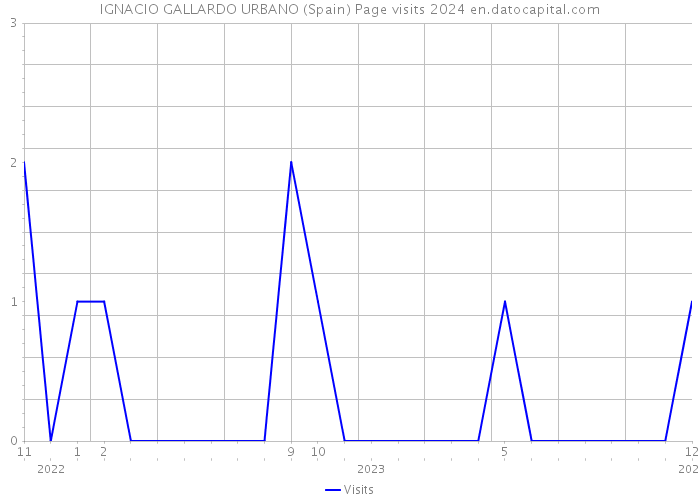 IGNACIO GALLARDO URBANO (Spain) Page visits 2024 