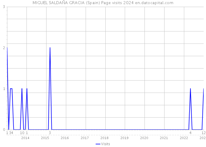 MIGUEL SALDAÑA GRACIA (Spain) Page visits 2024 