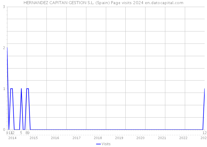 HERNANDEZ CAPITAN GESTION S.L. (Spain) Page visits 2024 