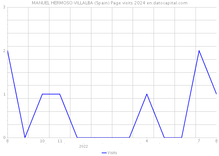 MANUEL HERMOSO VILLALBA (Spain) Page visits 2024 