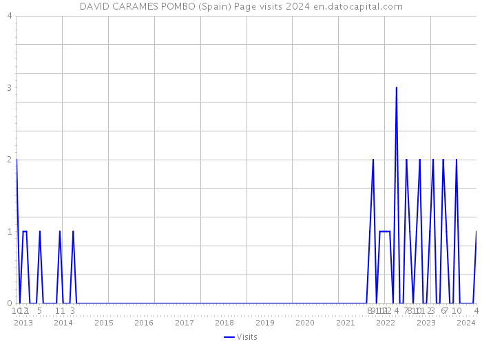 DAVID CARAMES POMBO (Spain) Page visits 2024 