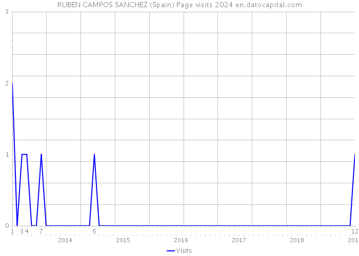 RUBEN CAMPOS SANCHEZ (Spain) Page visits 2024 