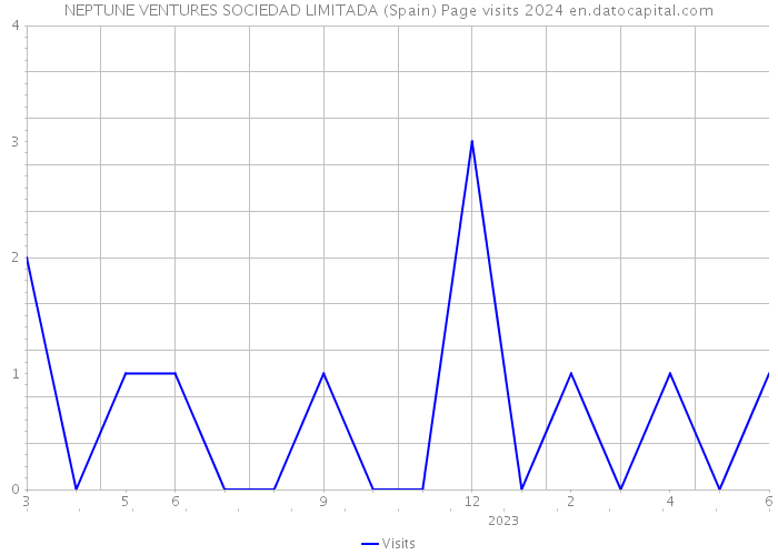 NEPTUNE VENTURES SOCIEDAD LIMITADA (Spain) Page visits 2024 