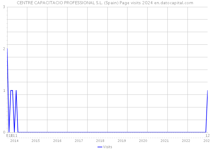 CENTRE CAPACITACIO PROFESSIONAL S.L. (Spain) Page visits 2024 