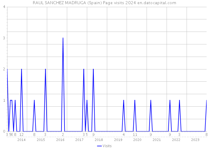 RAUL SANCHEZ MADRUGA (Spain) Page visits 2024 