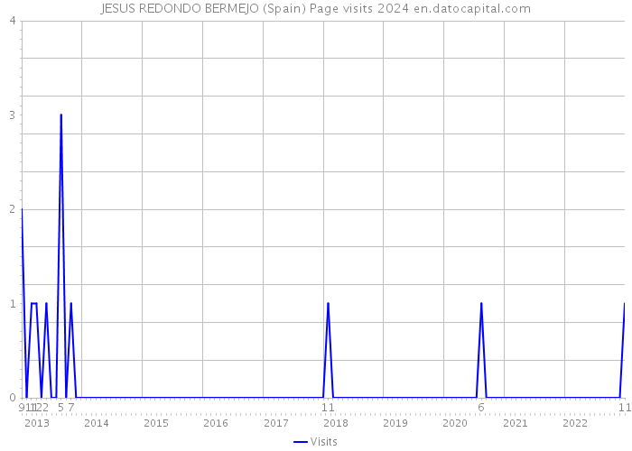 JESUS REDONDO BERMEJO (Spain) Page visits 2024 