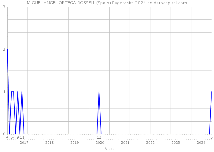 MIGUEL ANGEL ORTEGA ROSSELL (Spain) Page visits 2024 