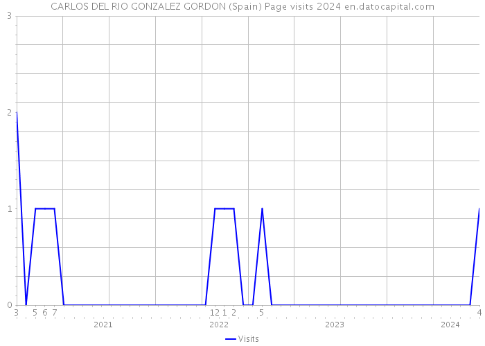 CARLOS DEL RIO GONZALEZ GORDON (Spain) Page visits 2024 