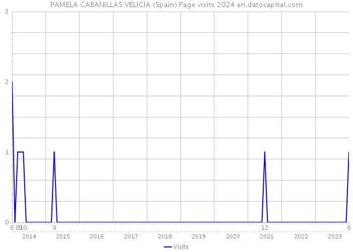 PAMELA CABANILLAS VELICIA (Spain) Page visits 2024 