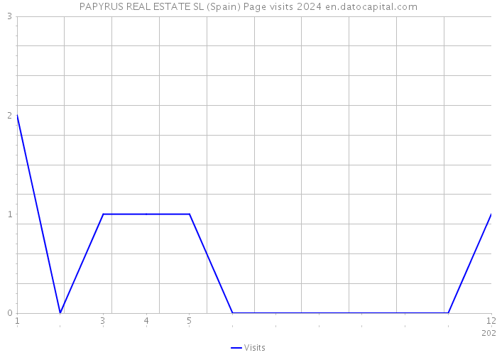 PAPYRUS REAL ESTATE SL (Spain) Page visits 2024 