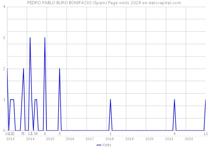 PEDRO PABLO BURO BONIFACIO (Spain) Page visits 2024 