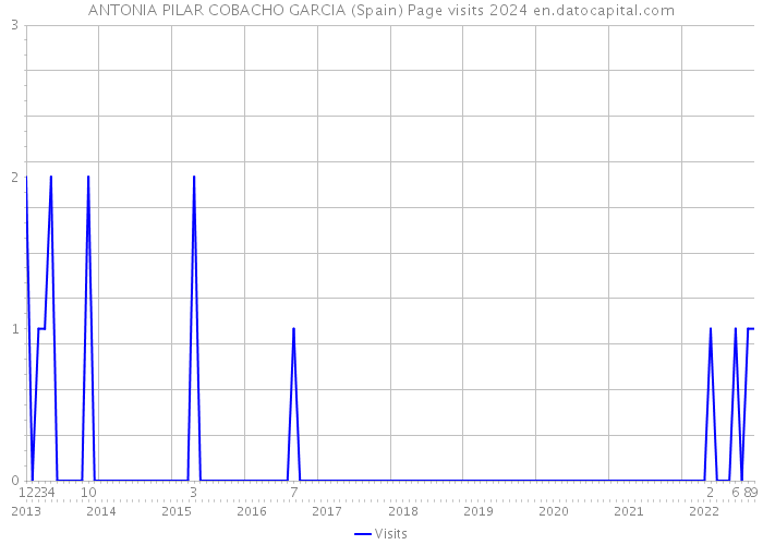 ANTONIA PILAR COBACHO GARCIA (Spain) Page visits 2024 