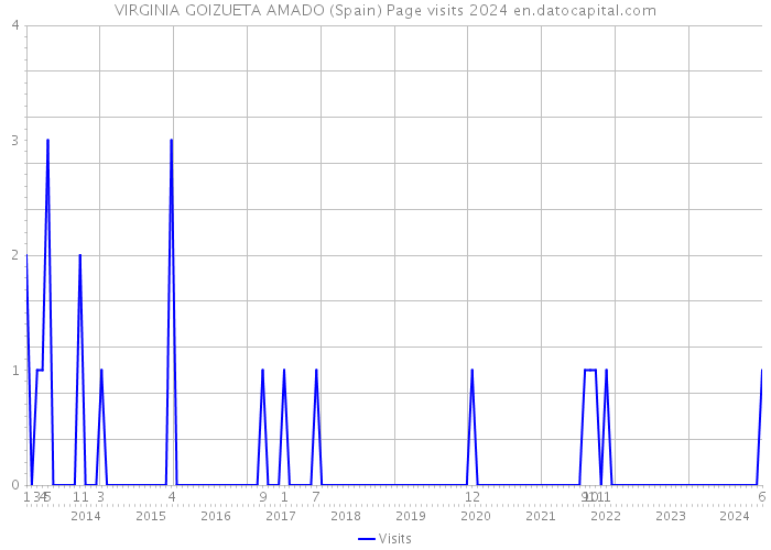 VIRGINIA GOIZUETA AMADO (Spain) Page visits 2024 