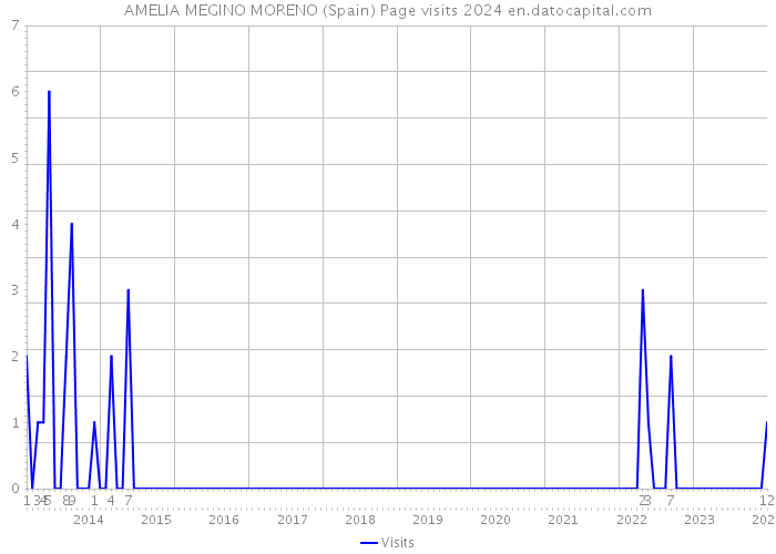 AMELIA MEGINO MORENO (Spain) Page visits 2024 